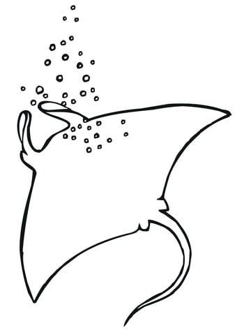 Manta Eagle Ray Coloring Page